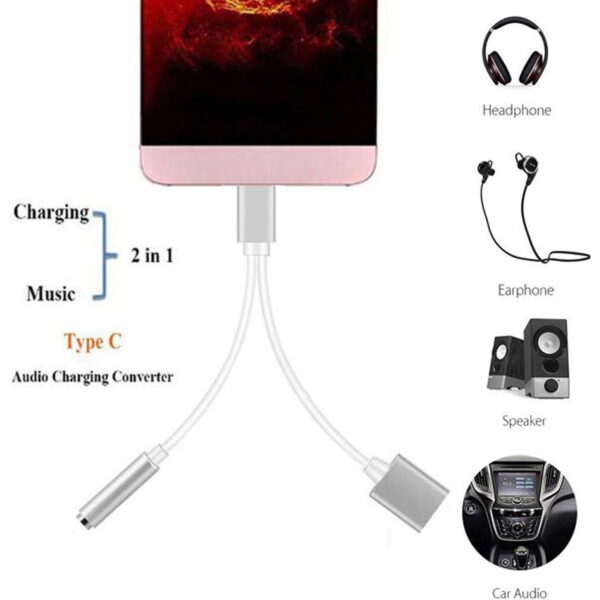 Type-C USB C to 2in1 Charger