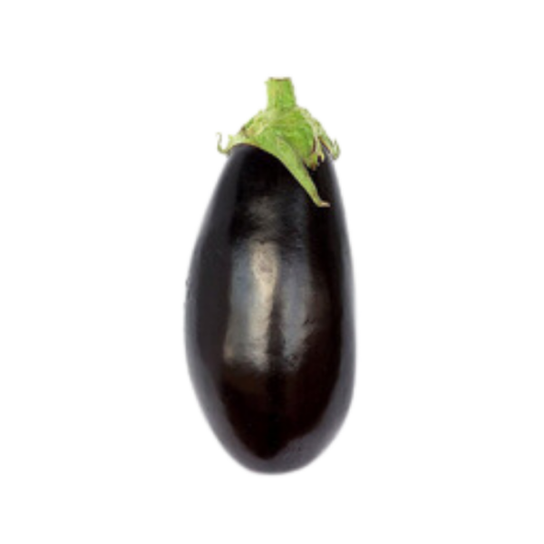 Aubergine