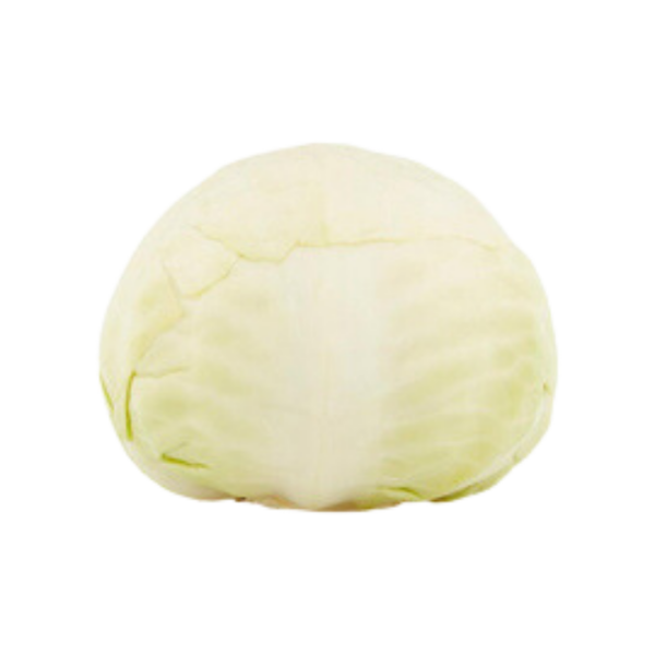 white-cabbage-1-piece-golatienda