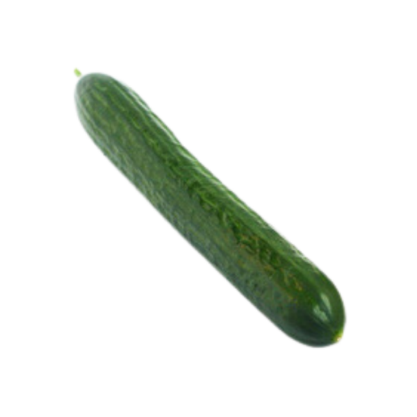 Cucumber Long 1 piece