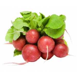 Red radishes