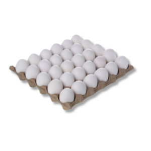 White egg plate